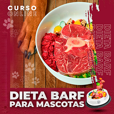 DIETA BARF PARA MASCOTAS